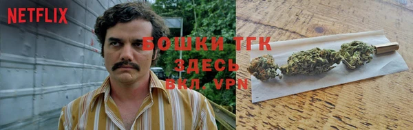 трава Белокуриха
